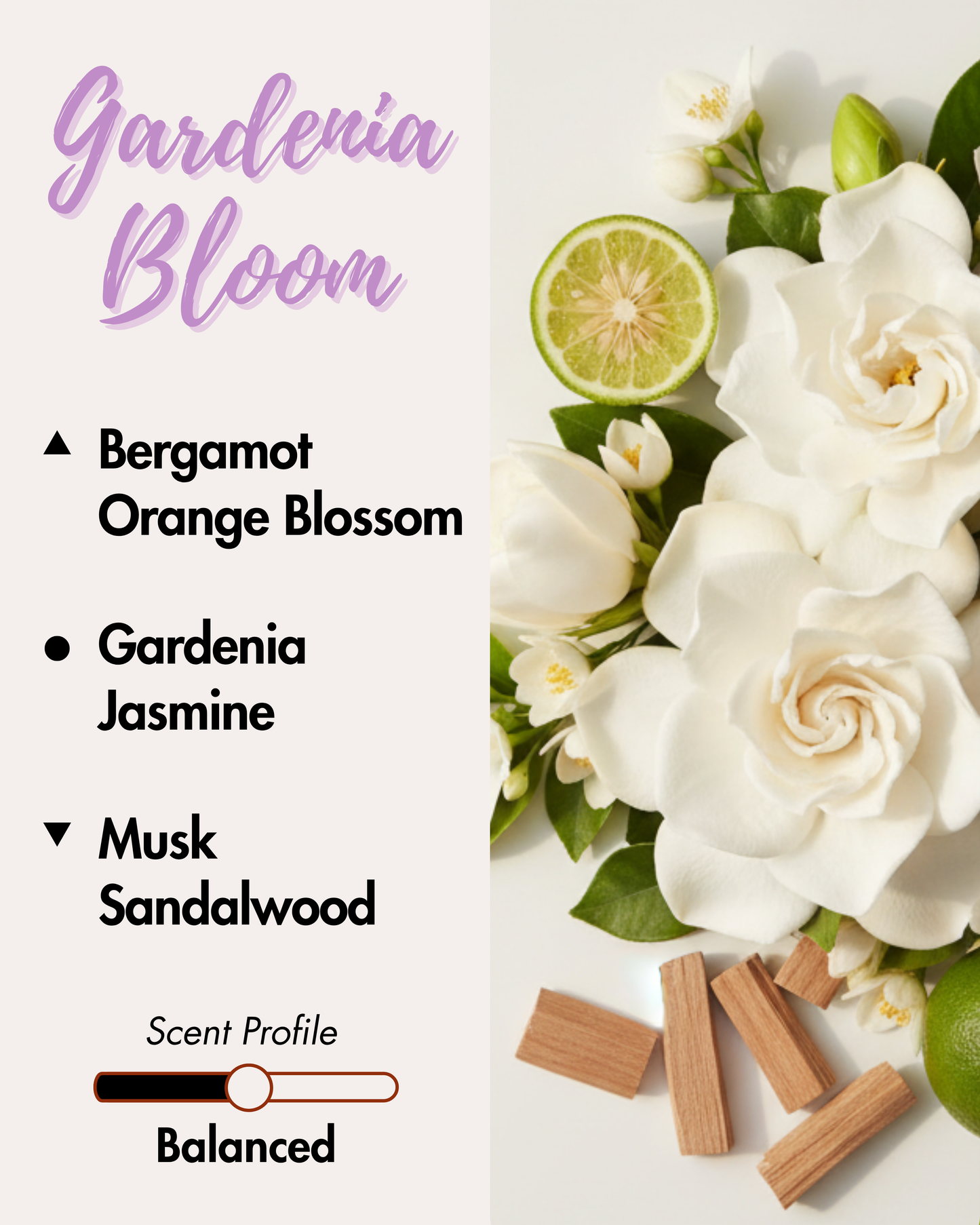 Graphic displaying Harlequin Candles Gardenia Bloom fragrance notes. Top note: Peach Nectar. Middle notes: Gardenia, Jasmine. Base notes: Lily Flowers, Vanilla. Scent profile is rated as Balanced. The image shows a beautiful bouquet of white gardenia flowers.