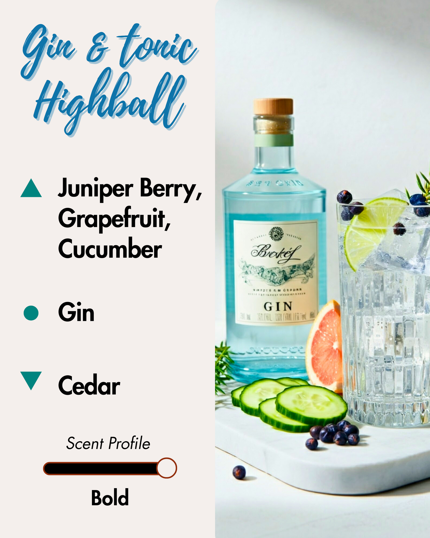 Graphic displaying Harlequin Candles Gin & Tonic Highball fragrance notes. Top notes: Juniper Berry, Grapefruit, Cucumber. Middle note: Gin. Base note: Cedar. Scent profile is rated as Bold. The image shows a bottle of gin next to a refreshing gin and tonic cocktail garnished with lime, cucumber, and juniper berries.