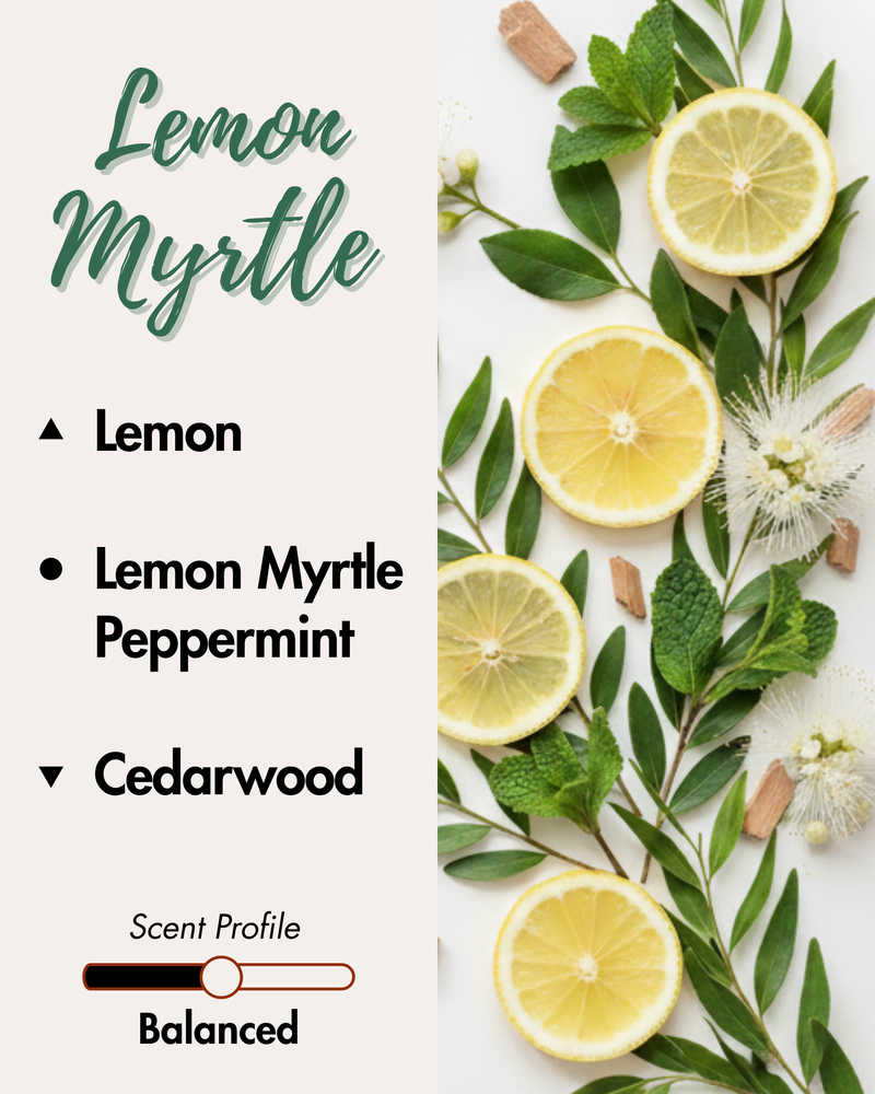 Graphic displaying Harlequin Candles Lemon Myrtle fragrance notes. Top note: Orange. Middle notes: Lemon Myrtle, Peppermint. Base note: Cedarwood. Scent profile is rated as Bold. The image shows vibrant orange slices and green leafy branches with white flowers.