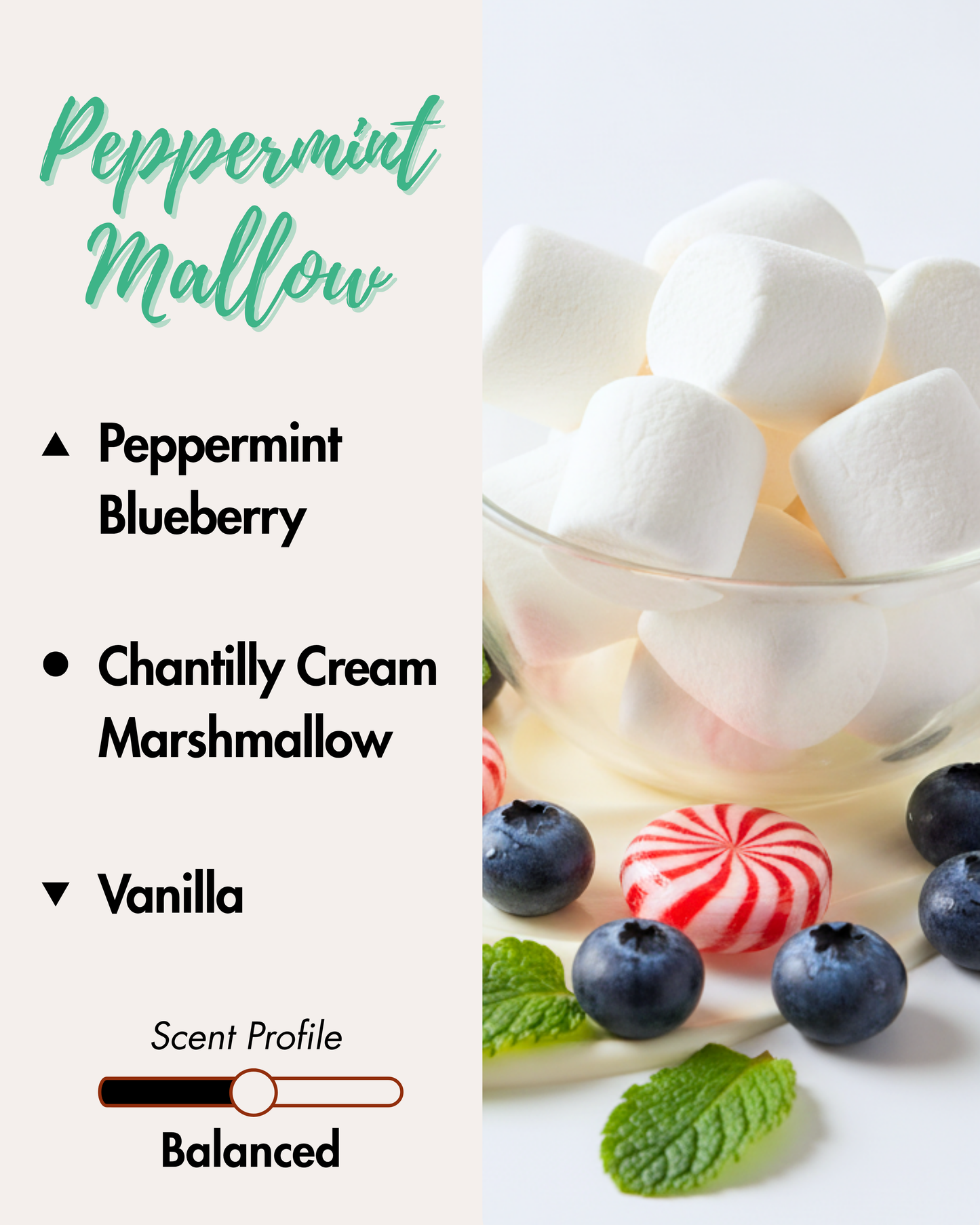 Graphic displaying Harlequin Candles Peppermint Mallow fragrance notes. Top notes: Peppermint, Blueberry. Middle notes: Chantilly Cream, Marshmallow. Base note: Vanilla. Scent profile is rated as Balanced. The image shows fresh blueberries, mint leaves, and pink marshmallows on a creamy background, evoking a sweet and comforting winter aroma.