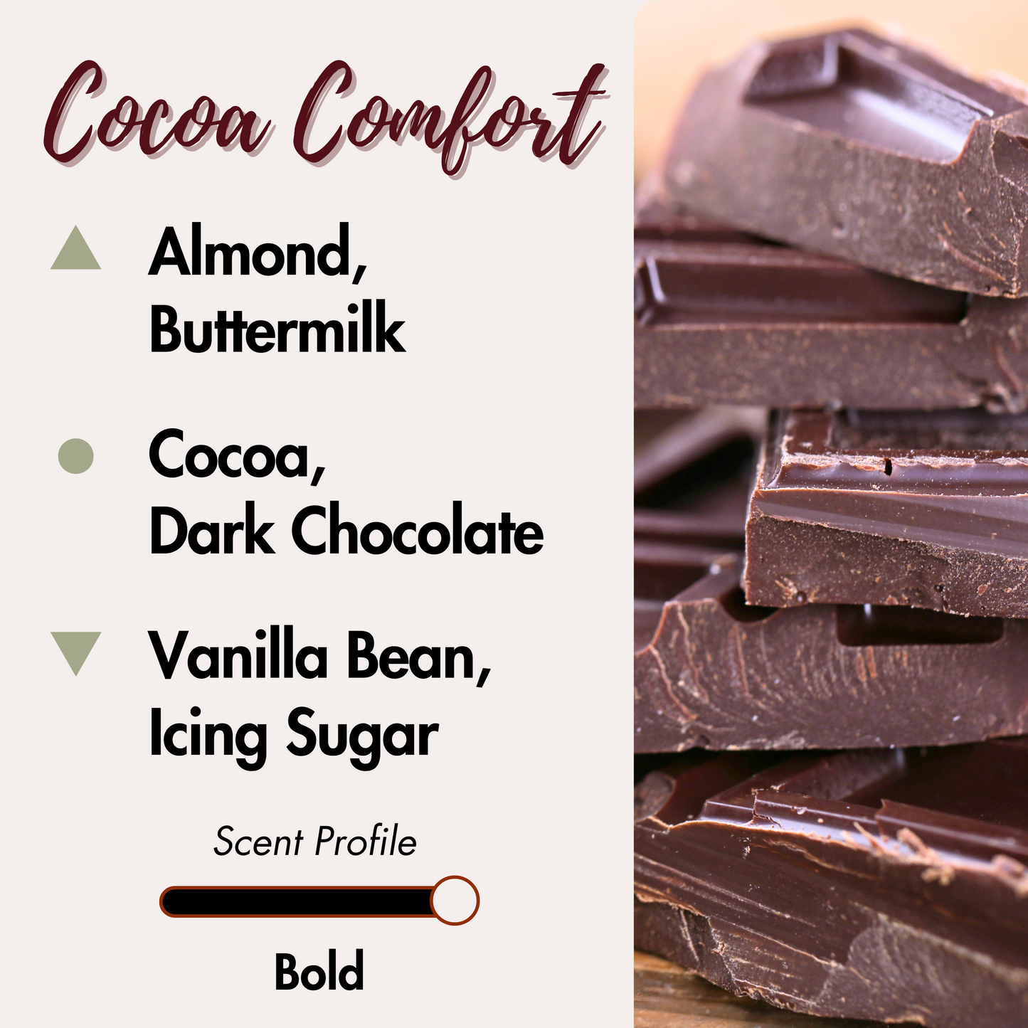 Cocoa Comfort