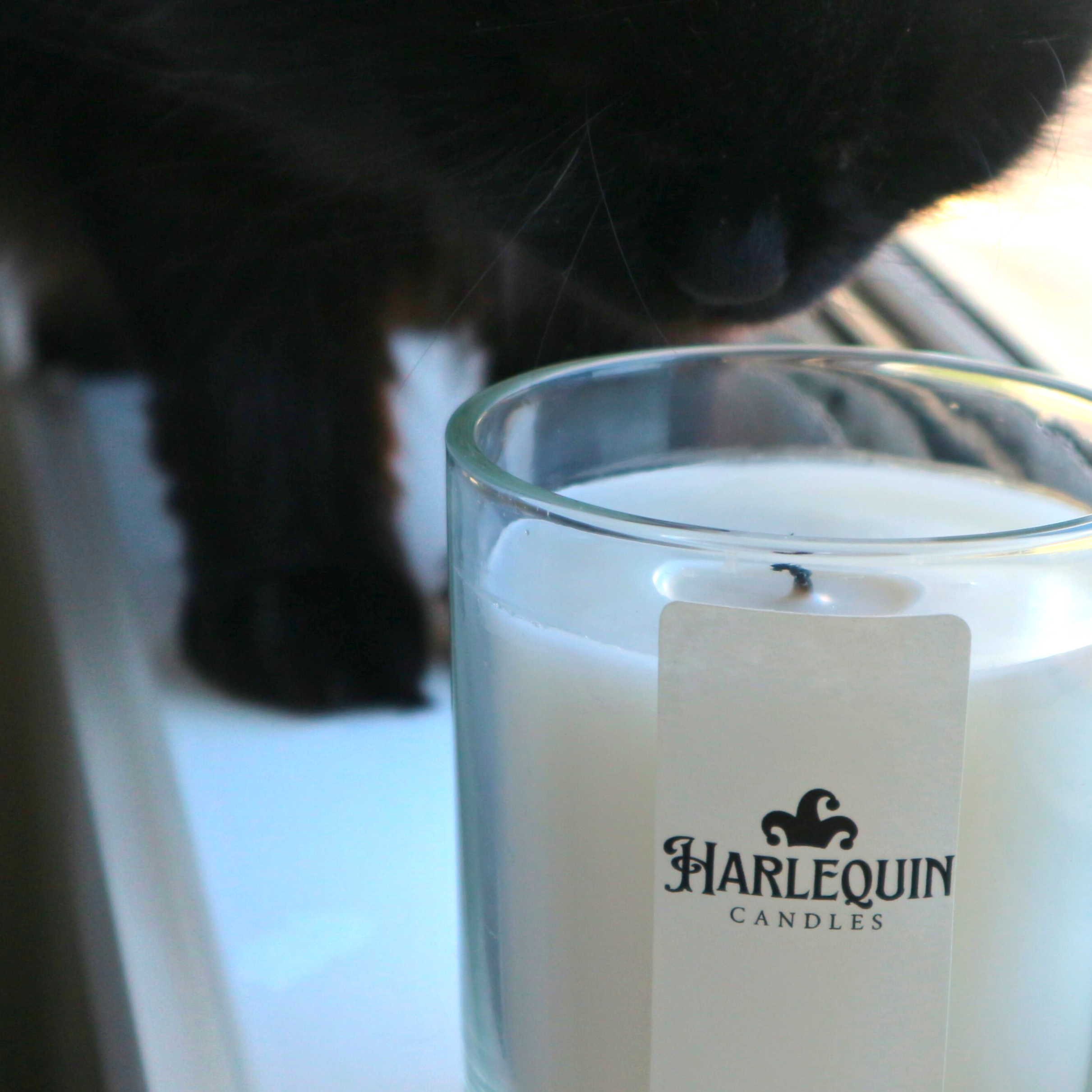 An unlit Harlequin Candles soy candle in a clear glass jar with a white label is placed on a sunlit windowsill. A black cat's head is visible in the background, seemingly sniffing the candle, highlighting home fragrance in a pet-friendly environment.