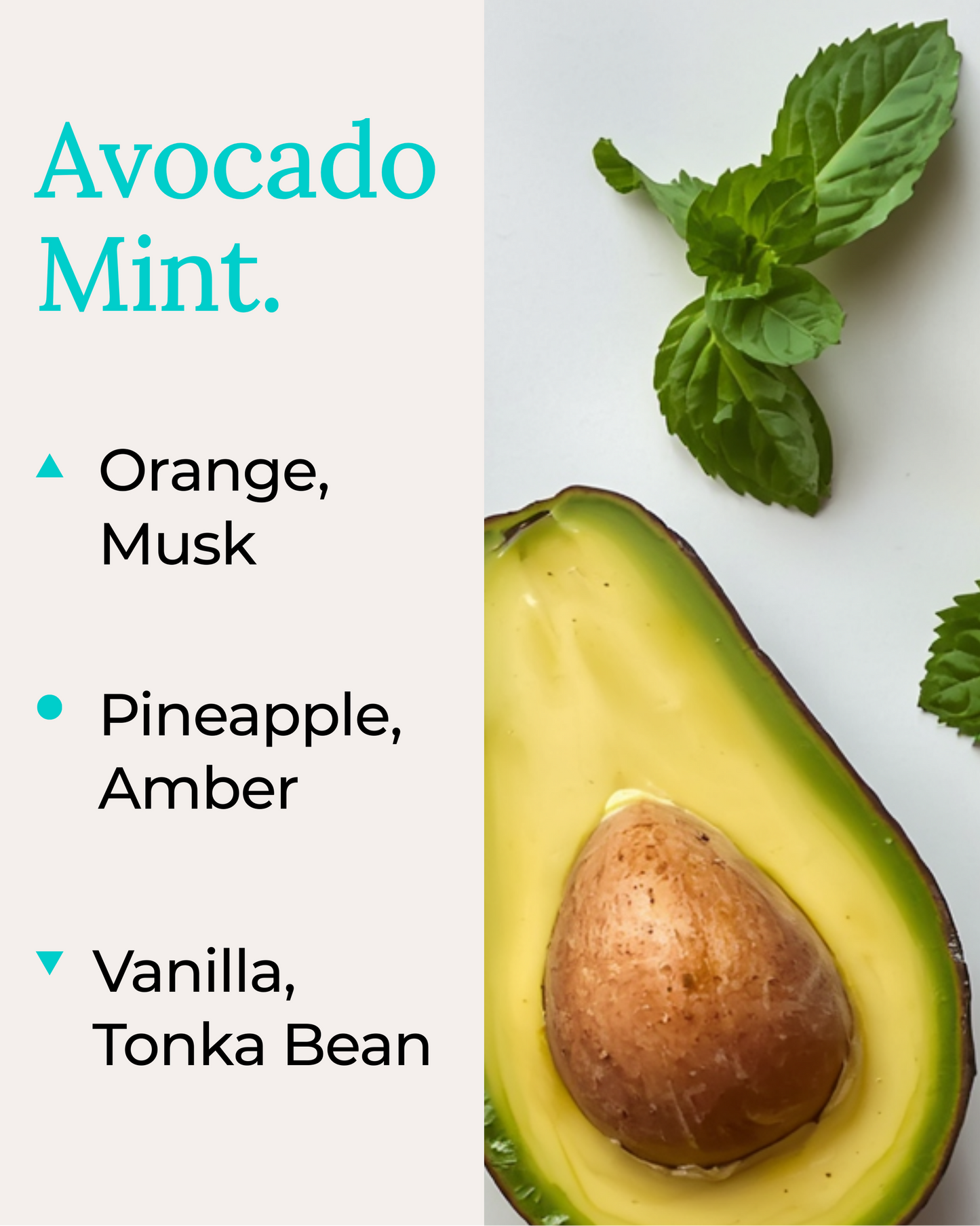 A fragrance note card for Avocado Mint by Harlequin Candles. The left side lists top notes of Orange and Musk, mid notes of Pineapple and Amber, and base notes of Vanilla and Tonka Bean. The right side features a high-quality lifestyle image of a fresh halved avocado and vibrant mint leaves.