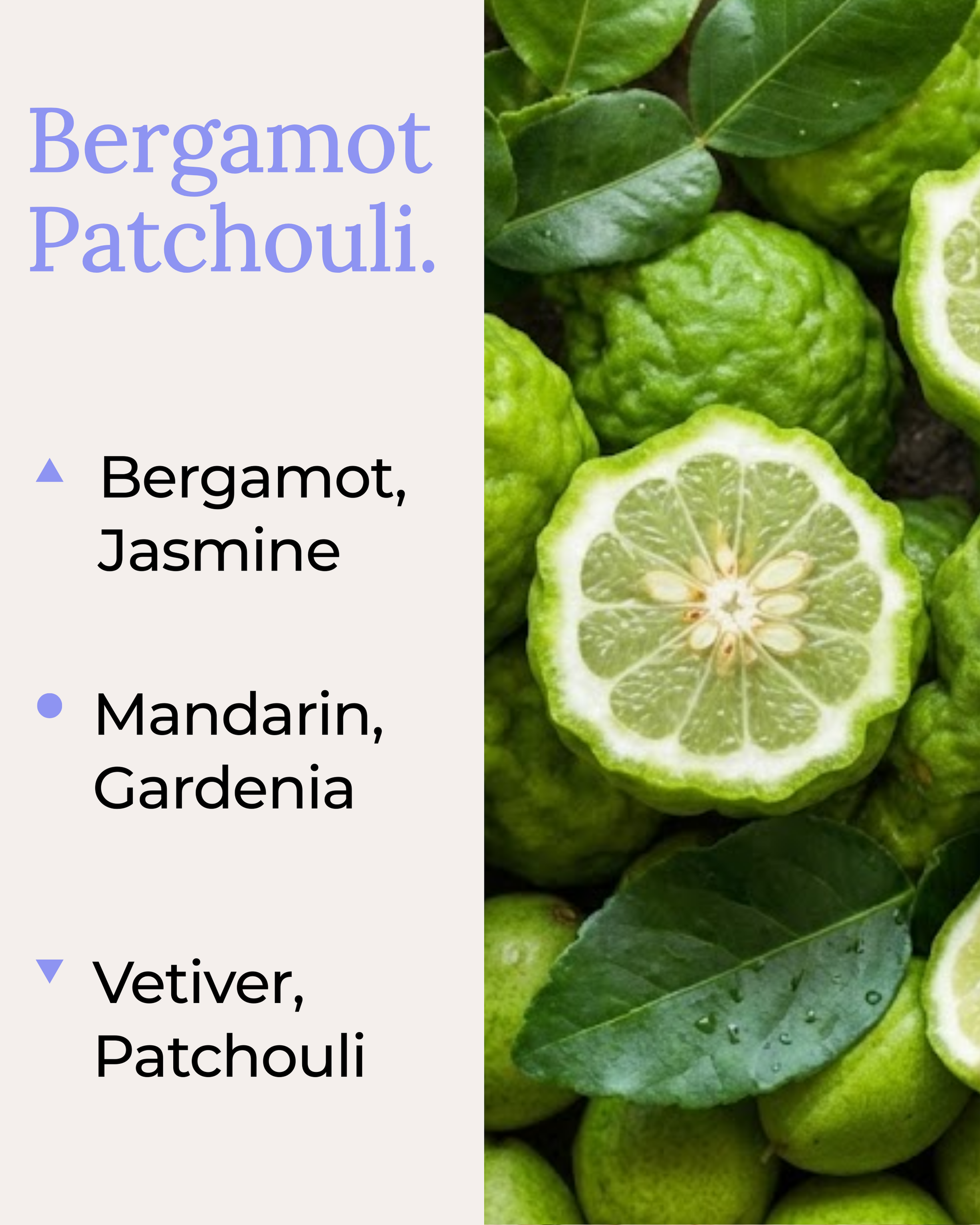 A fragrance note card for Bergamot Patchouli by Harlequin Candles. The left panel lists the scent notes: Bergamot and Jasmine as top notes; Mandarin and Gardenia as mid notes; and Vetiver and Patchouli as the base notes. The right side features a high-quality close-up of fresh green bergamot citrus fruit.