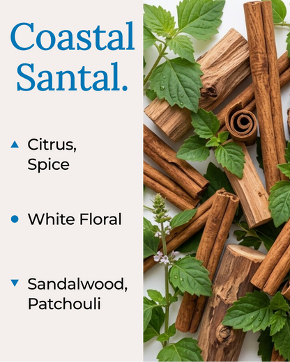 A fragrance note card for Coastal Santal by Harlequin Candles. The left panel lists the scent notes: Citrus and Spice as top notes; White Floral as the mid note; and Sandalwood and Patchouli as the base notes. The right side features a high-quality lifestyle image of fresh green leaves and cinnamon sticks on a white background.