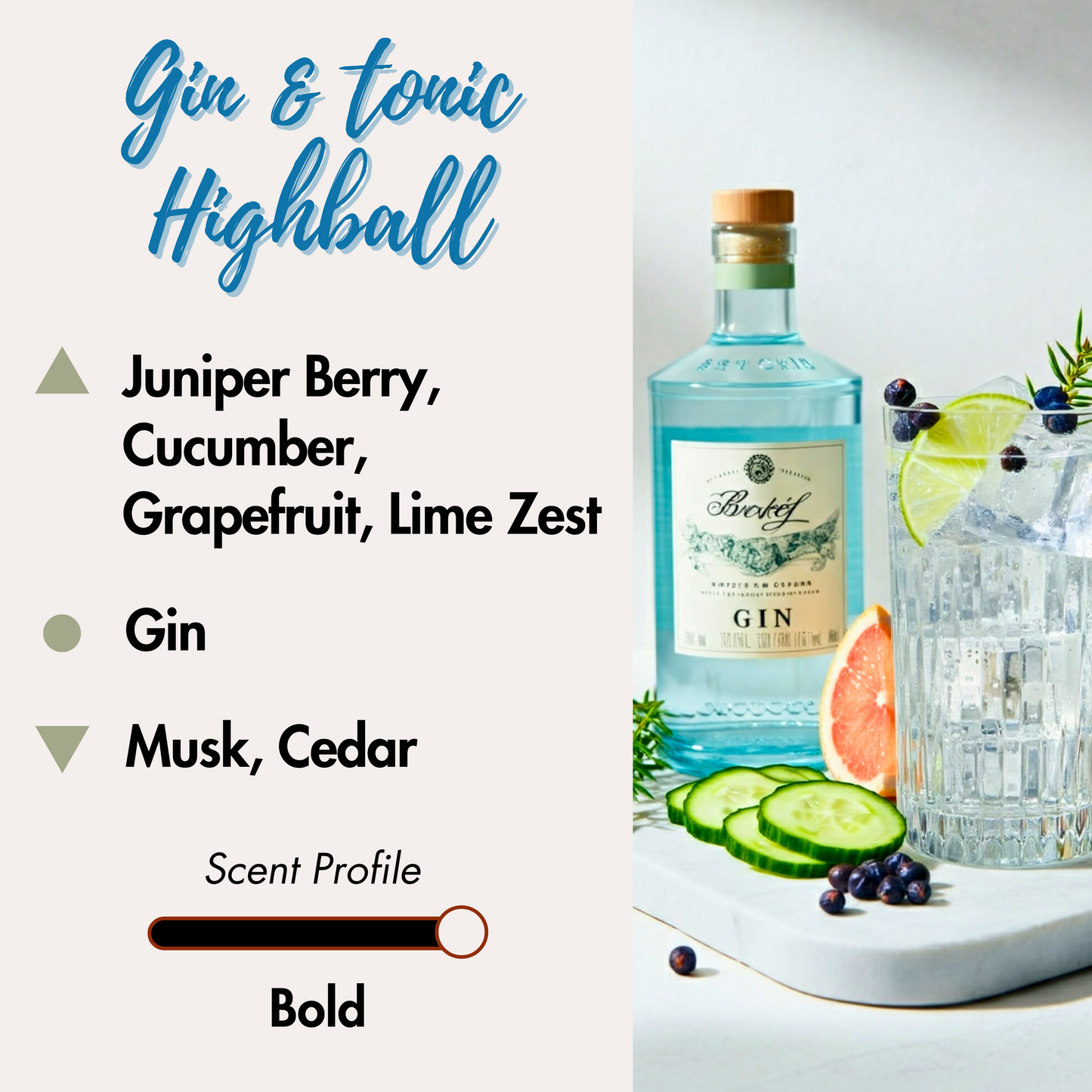 Gin & Tonic Highball