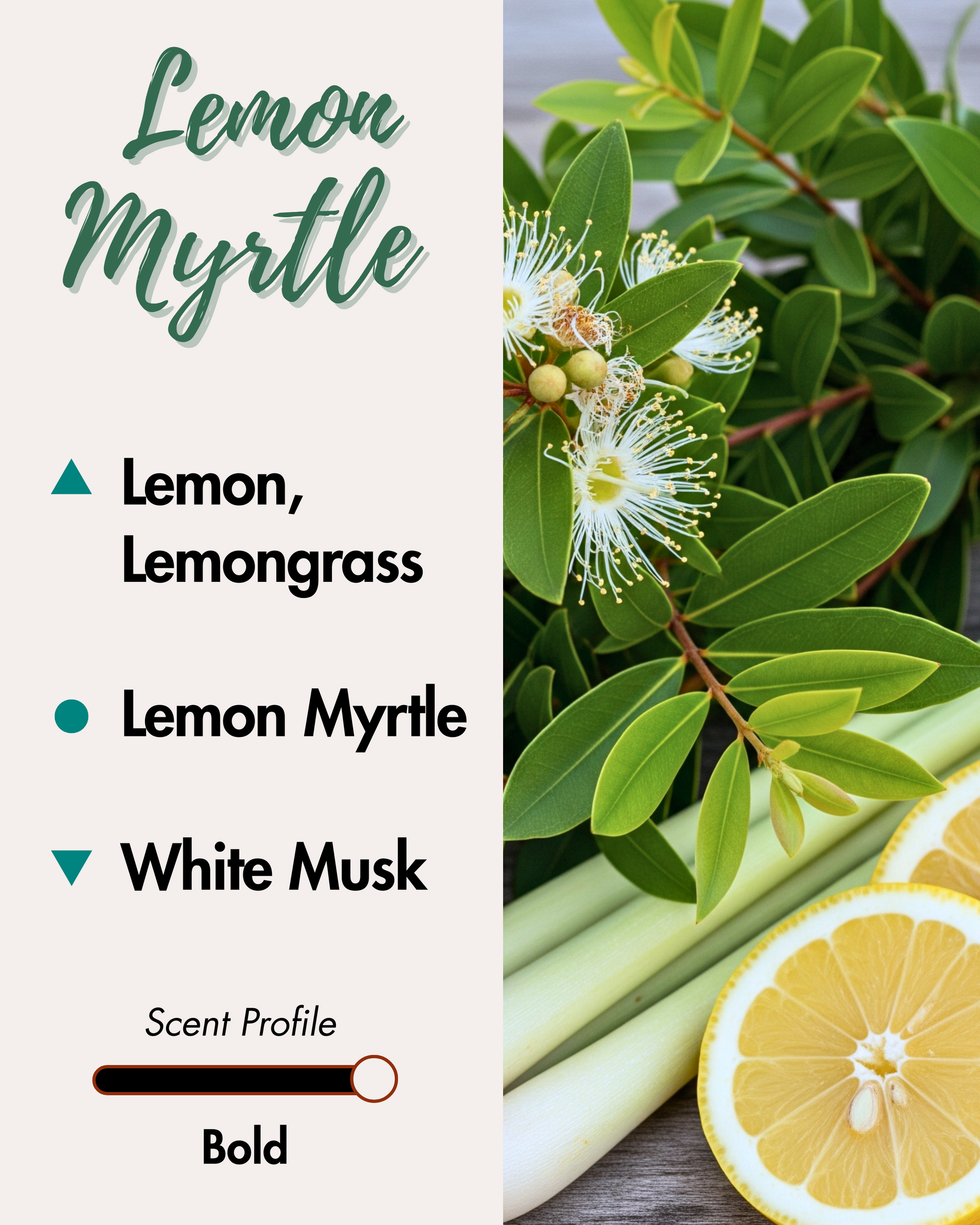 A graphic for a "Lemon Myrtle" reed diffuser. The left side lists scent notes: Lemon and Lemongrass (top), Lemon Myrtle (middle), and White Musk (base). A scent profile bar indicates "Bold." The right side shows a photo of lemon myrtle leaves with blossoms, lemongrass stalks, and lemon slices.