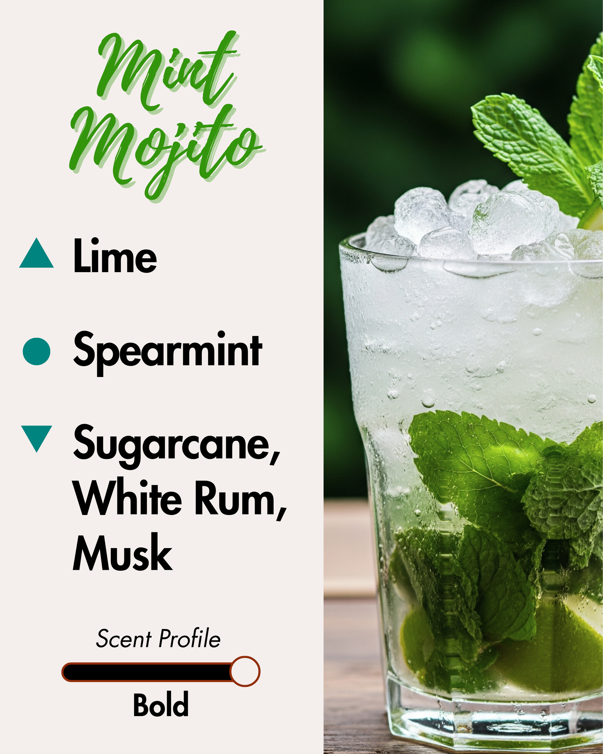 A graphic advertising a "Mint Mojito" reed diffuser. The left side lists scent notes: Lime (top), Spearmint (middle), and Sugarcane, White Rum, Musk (base). A scent profile bar indicates "Bold." The right side shows a close-up photo of a mojito drink with ice, mint, and lime.