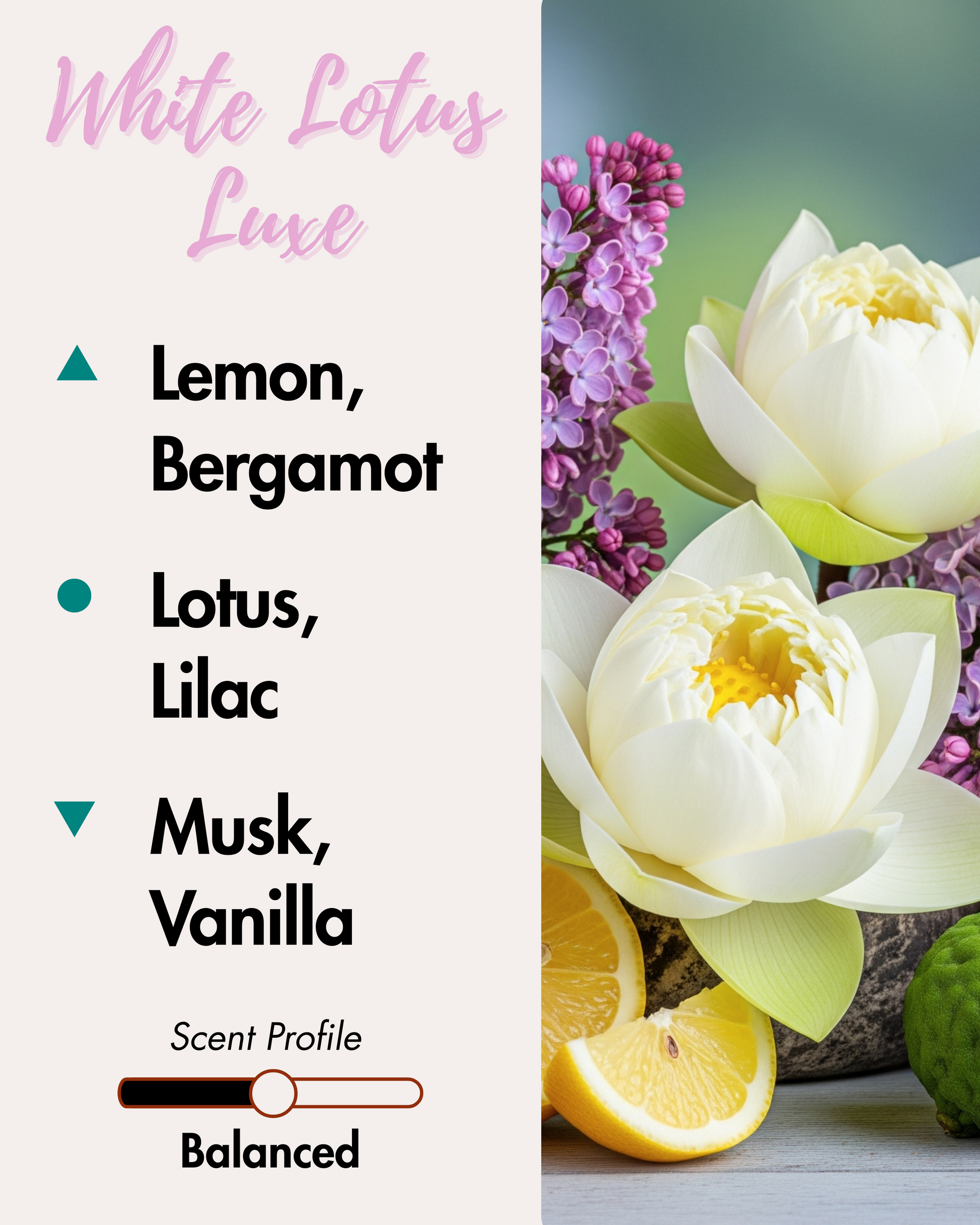 A graphic for a "White Lotus Luxe" reed diffuser. The left side lists scent notes: Lemon and Bergamot (top), Lotus and Lilac (middle), and Musk and Vanilla (base). A scent profile bar indicates "Balanced." The right side shows a photo of white lotus flowers, purple lilacs, lemon slices, and a bergamot.