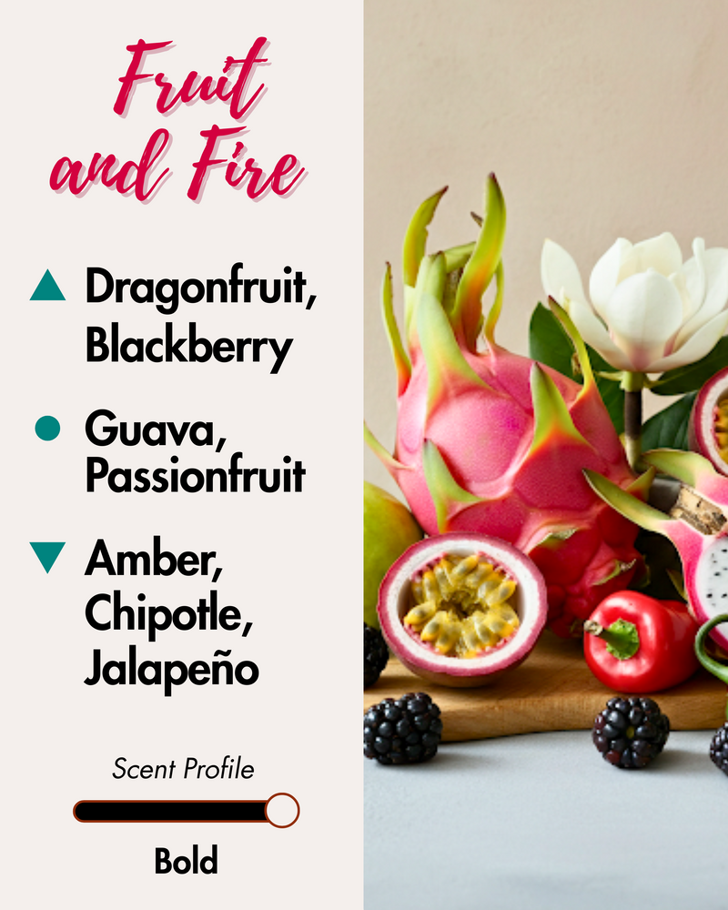 Graphic displaying Harlequin Candles Fruit and Fire fragrance notes. Top notes: Dragonfruit, Blackberry. Middle notes: Guava, Passionfruit. Base notes: Amber, Chipotle, Jalapeño. Scent profile is rated as Bold. The image shows fresh dragonfruit, blackberries, passionfruit, and a red chili pepper.