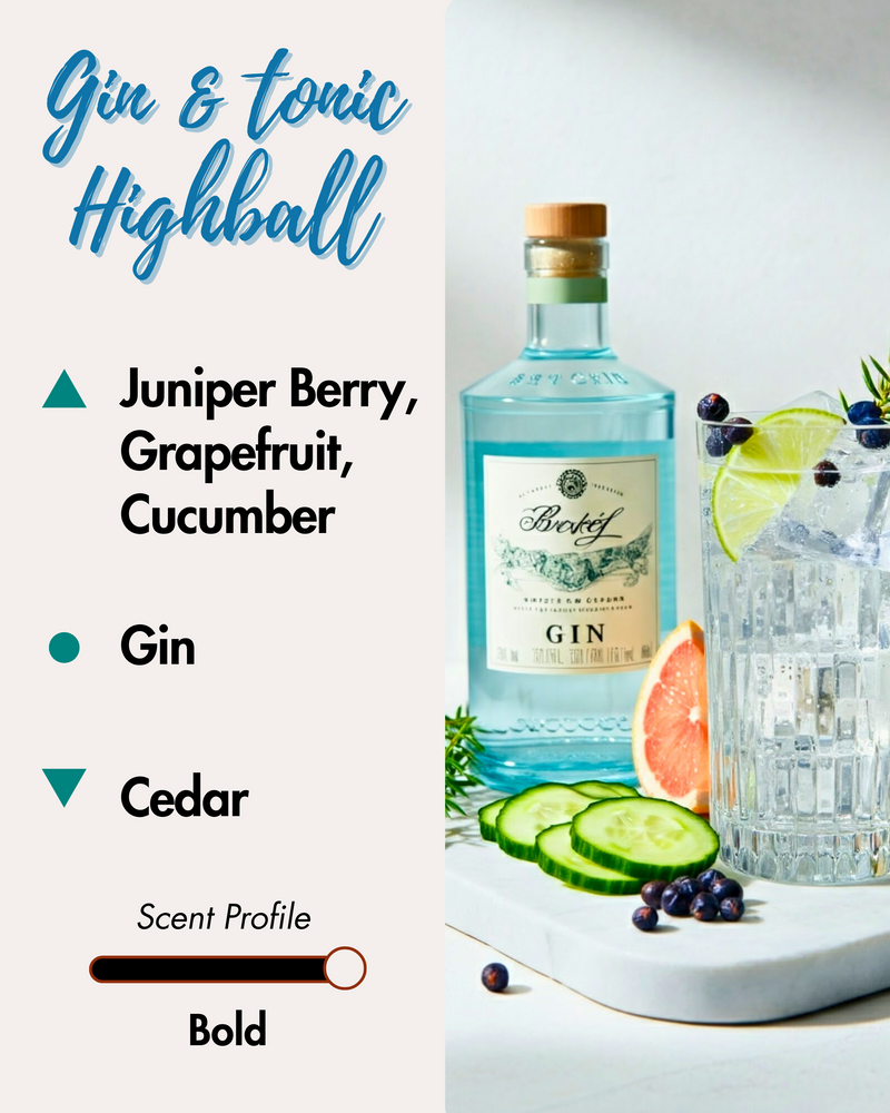 Graphic displaying Harlequin Candles Gin & Tonic Highball fragrance notes. Top notes: Juniper Berry, Grapefruit, Cucumber. Middle note: Gin. Base note: Cedar. Scent profile is rated as Bold. The image shows a bottle of gin next to a refreshing gin and tonic cocktail garnished with lime, cucumber, and juniper berries.