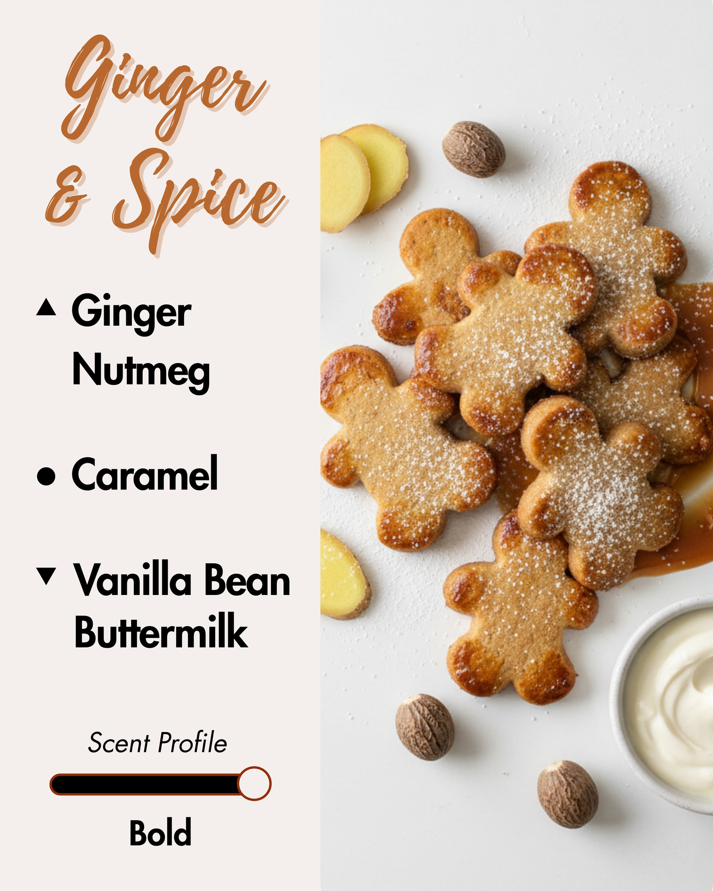 Graphic displaying Harlequin Candles Ginger and spice fragrance notes. Top notes: Ginger, Nutmeg. Middle notes: Caramel. Base note: Vanilla Bean. Scent profile is rated as Bold. The image shows gingerbread cookies evoking a warm and comforting aroma.