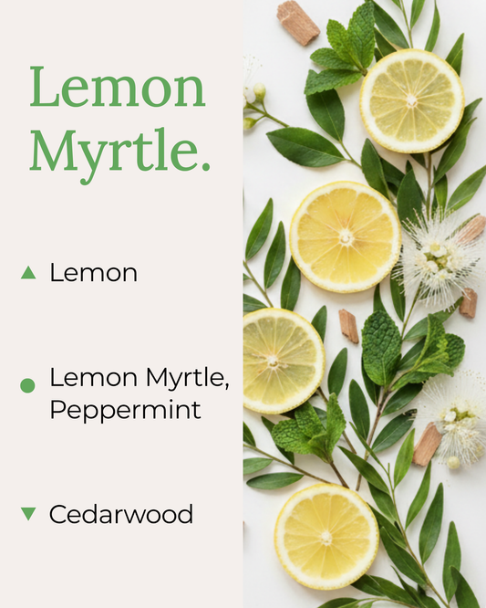 Graphic displaying Harlequin Candles Lemon Myrtle fragrance notes. Top note: Orange. Middle notes: Lemon Myrtle, Peppermint. Base note: Cedarwood. Scent profile is rated as Bold. The image shows vibrant orange slices and green leafy branches with white flowers.