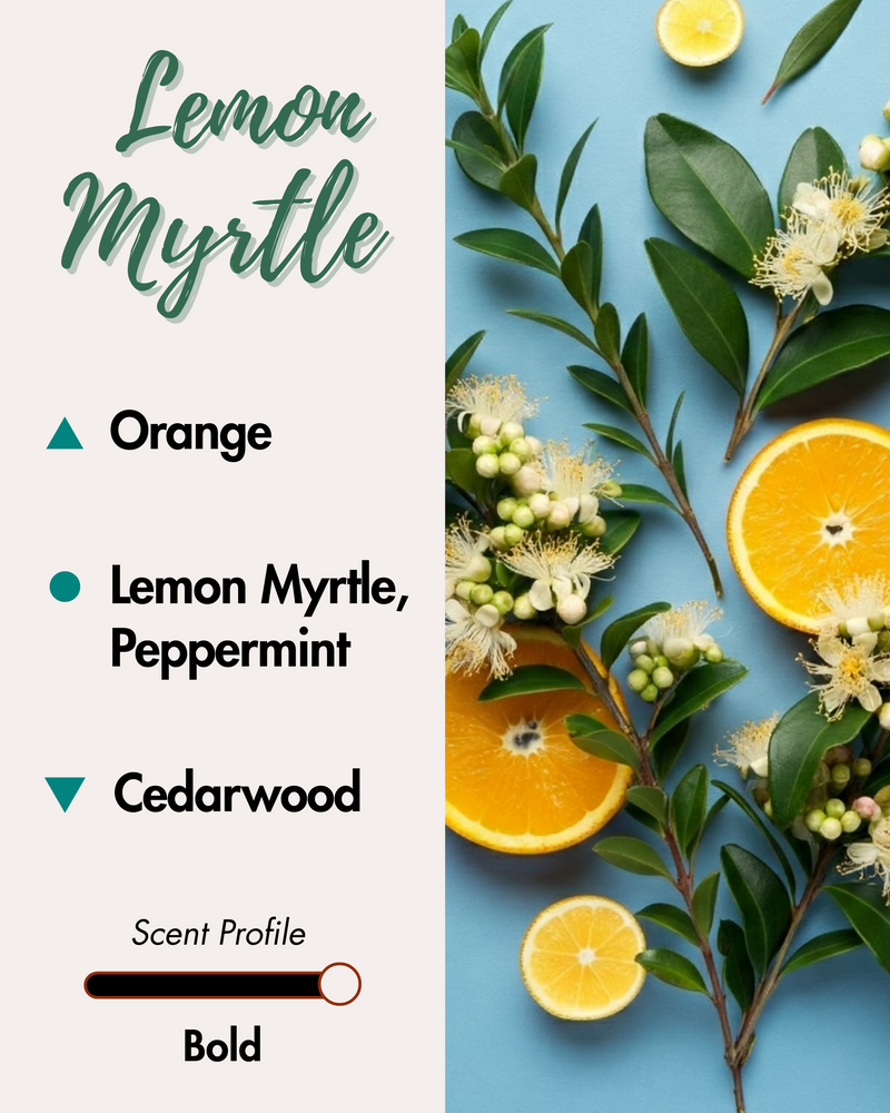 Graphic displaying Harlequin Candles Lemon Myrtle fragrance notes. Top note: Orange. Middle notes: Lemon Myrtle, Peppermint. Base note: Cedarwood. Scent profile is rated as Bold. The image shows vibrant orange slices and green leafy branches with white flowers.