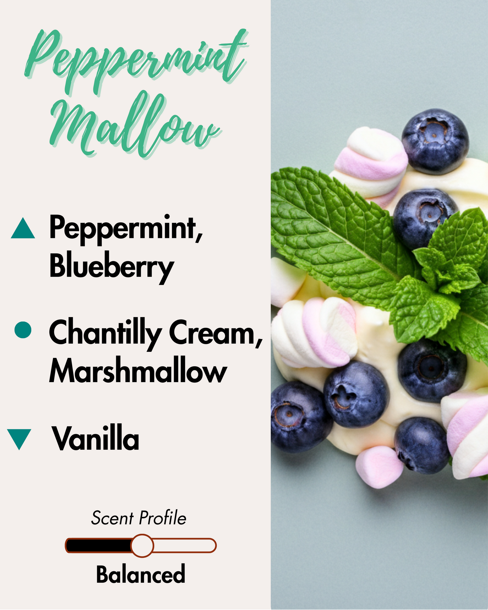 Graphic displaying Harlequin Candles Peppermint Mallow fragrance notes. Top notes: Peppermint, Blueberry. Middle notes: Chantilly Cream, Marshmallow. Base note: Vanilla. Scent profile is rated as Balanced. The image shows fresh blueberries, mint leaves, and pink marshmallows on a creamy background, evoking a sweet and comforting winter aroma.