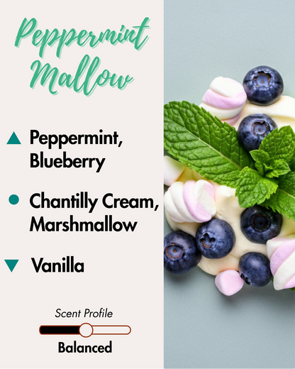 Graphic displaying Harlequin Candles Peppermint Mallow fragrance notes. Top notes: Peppermint, Blueberry. Middle notes: Chantilly Cream, Marshmallow. Base note: Vanilla. Scent profile is rated as Balanced. The image shows fresh blueberries, mint leaves, and pink marshmallows on a creamy background, evoking a sweet and comforting winter aroma.