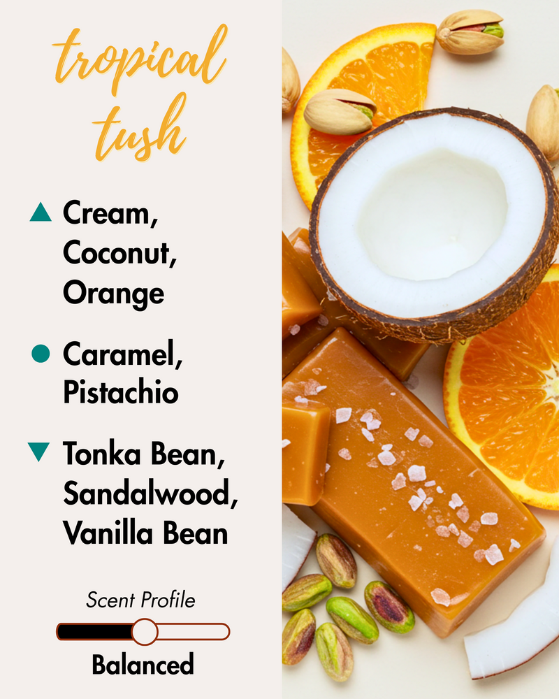 Graphic displaying Harlequin Candles Tropical Tush fragrance notes, inspired by popular Brazilian bum creams. Top notes: Cream, Coconut, Orange. Middle notes: Caramel, Pistachio. Base notes: Tonka Bean, Sandalwood, Vanilla Bean. Scent profile is rated as Balanced.