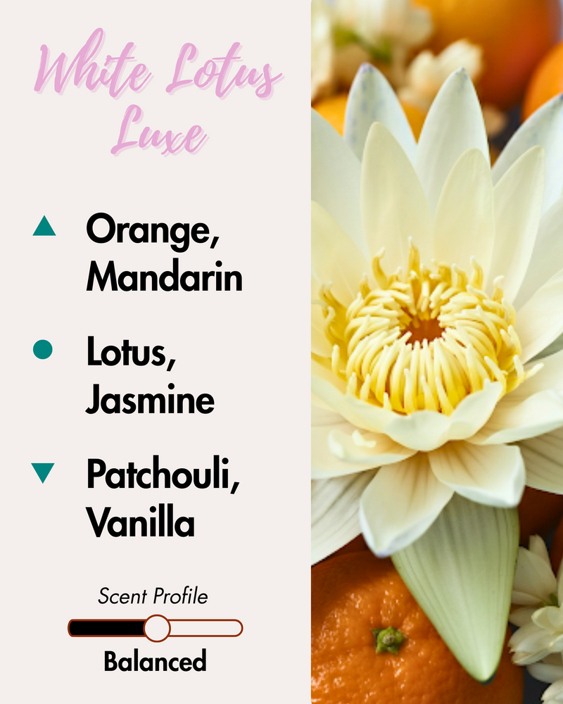 Graphic displaying Harlequin Candles White Lotus Luxe fragrance notes. Top notes: Orange, Mandarin. Middle notes: Lotus, Jasmine. Base notes: Patchouli, Vanilla. Scent profile is rated as Balanced. The image shows a beautiful white lotus flower and fresh oranges.