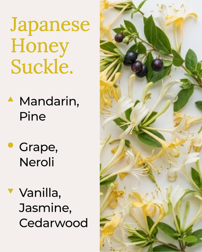 A bright fragrance note graphic for the Japanese Honeysuckle coconut soy candle by Harlequin Candles. The image shows a flat lay of yellow and white honeysuckle flowers with green leaves and small dark berries. Text on the left lists top notes of Mandarin and Pine, mid notes of Grape and Neroli, and base notes of Vanilla, Jasmine, and Cedarwood.