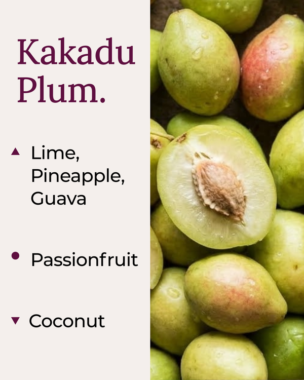 A fragrance note card for Kakadu Plum by Harlequin Candles. The left panel lists the scent notes: Lime, Pineapple, and Guava as top notes; Passionfruit as the mid note; and Coconut as the base note. The right side features a high-quality close-up image of fresh Kakadu plums, including one halved to show the seed.