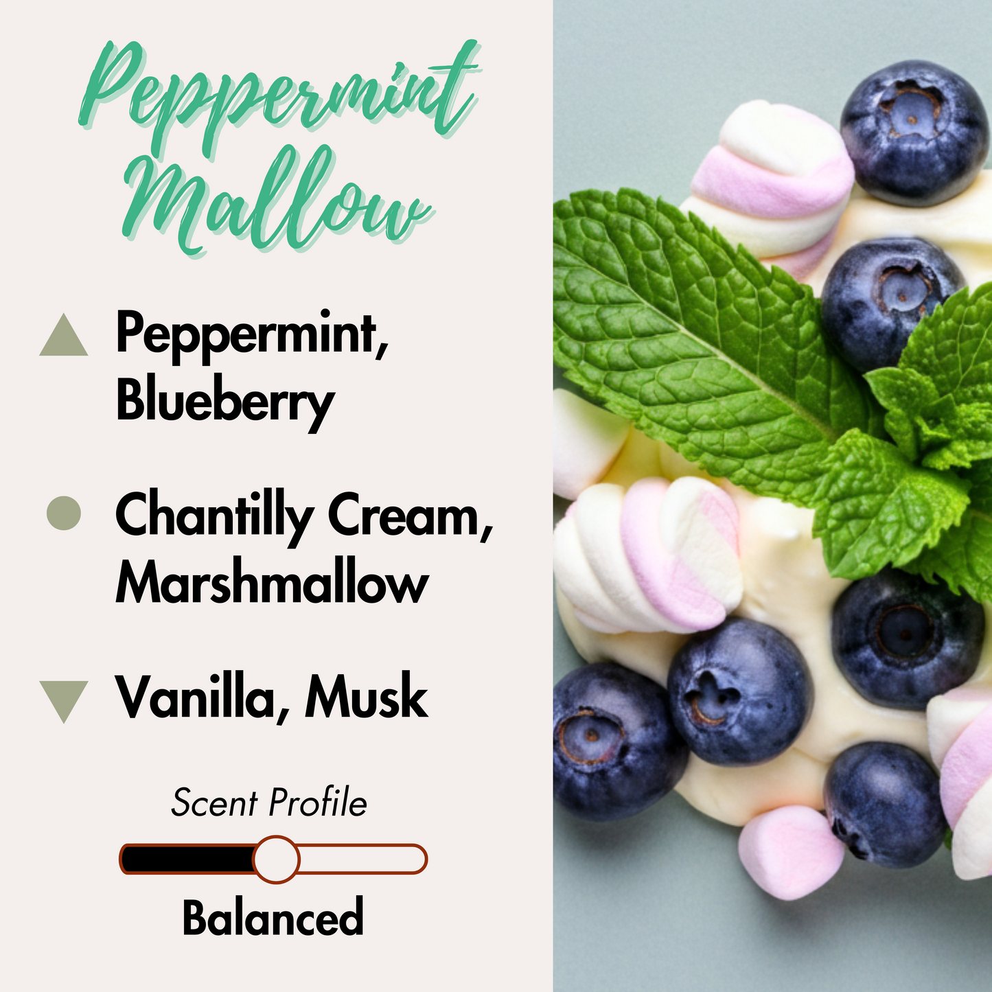 Peppermint, Blueberry. Middle Notes: Chantilly Cream, Marshmallow. Base Notes: Vanilla, Musk