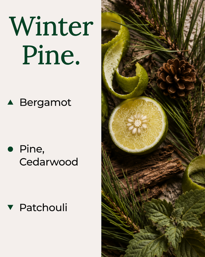 Winter Pine fragrance notes featuring bergamot, pine, cedarwood and patchouli beside a botanical image of pine needles, citrus and a pine cone.